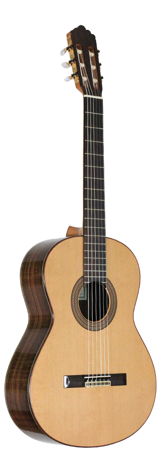 Altamira - N300S