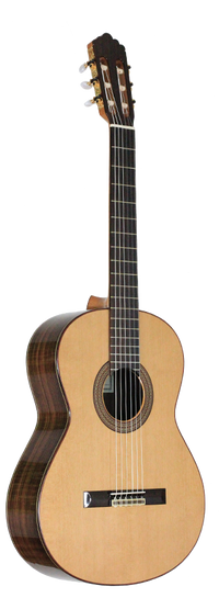 Altamira - N300S
