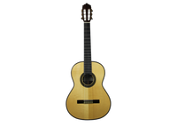 Altamira N600S