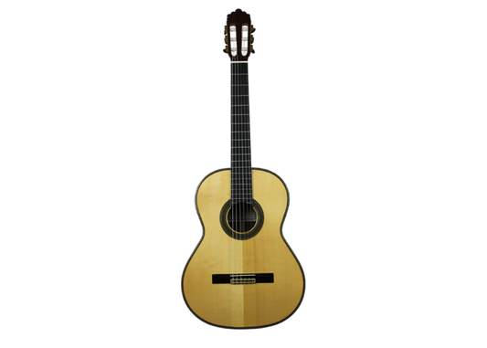 Altamira N600S