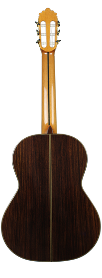 Altamira N600S