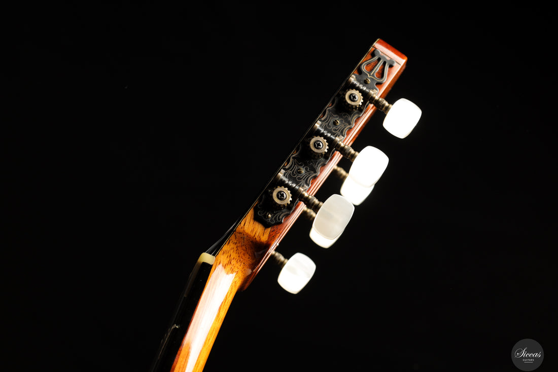 Andrea Tacchi - 1994 - Coclea 7/XVII