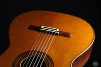 Andrea Tacchi - Coclea 2003 No. 279
