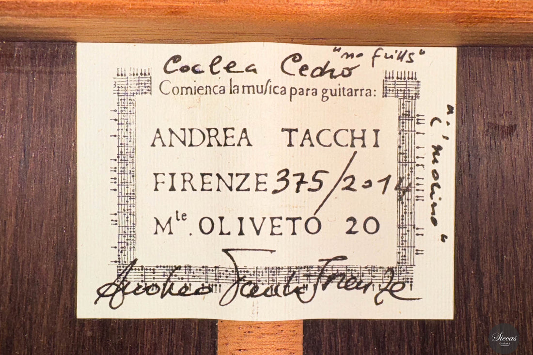 Andrea Tacchi - 2014 Coclea Cedro No. 375