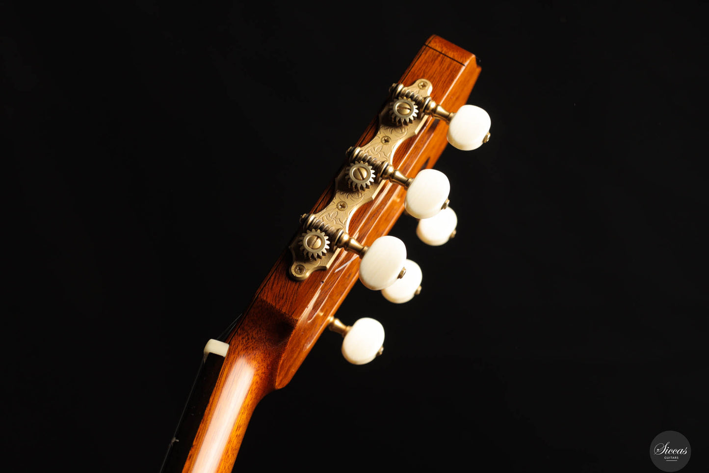Andrea Tacchi - 2014 Coclea Cedro No. 375