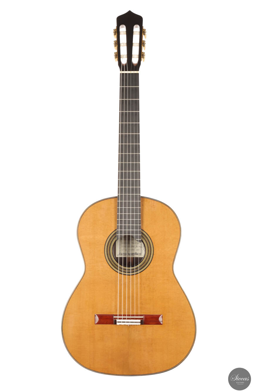 Andrea Tacchi - 2014 Coclea Cedro No. 375