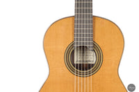 Andrea Tacchi - 2014 Coclea Cedro No. 375