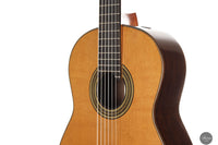 Andrea Tacchi - 2014 Coclea Cedro No. 375