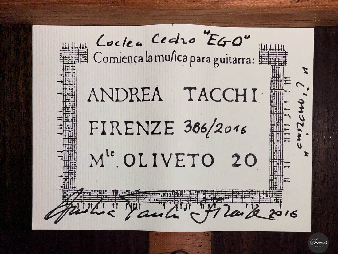 Andrea Tacchi - 2016 Coclea "Ego" 63,5 cm