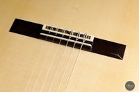 Angelo Vailati – 2023 REG Fichte/Palisander