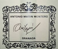 Antonio Marin Montero - 2020 Ahorn