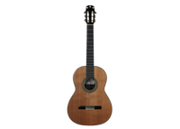 Antonio Morales Nogués – 2013 Santos Hernandez style