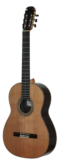 Antonio Morales Nogués – 2013 Santos Hernandez style