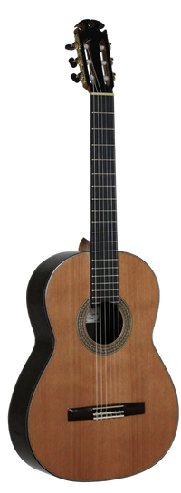 Antonio Morales Nogués – 2013 Santos Hernandez style