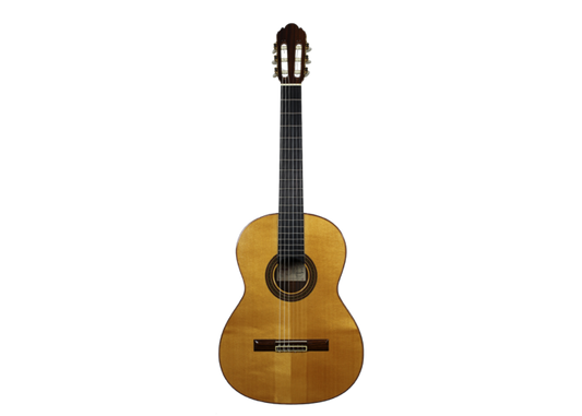Antonio Picado No. 53 - 2002