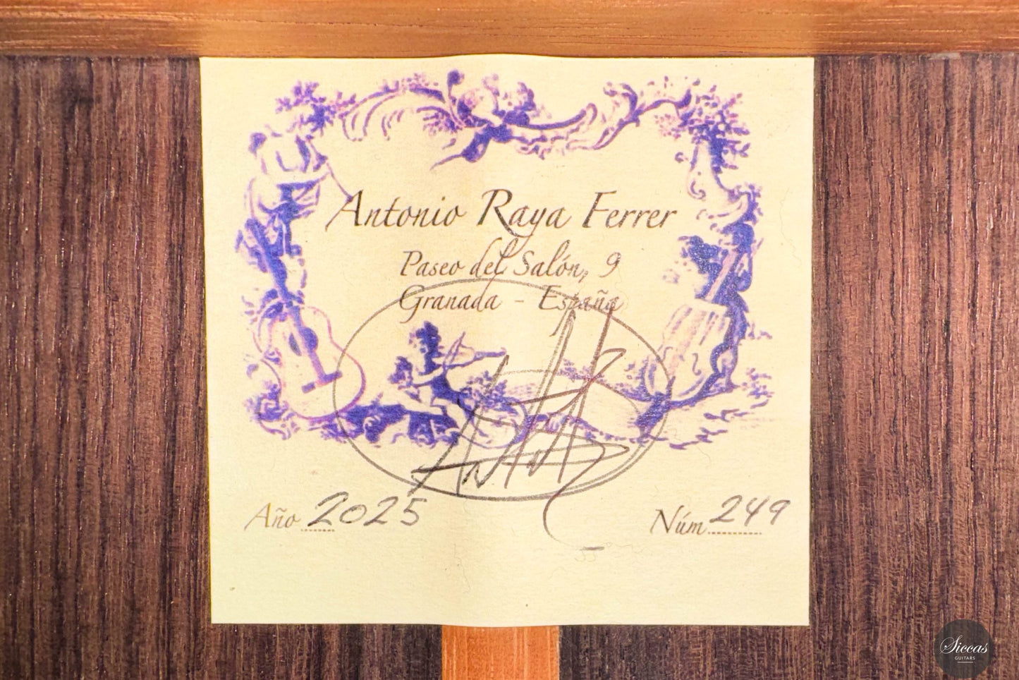 Antonio Raya Ferrer - 2025 No. 249 ON HOLD