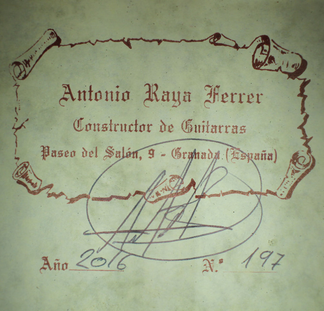 Antonio Raya Ferrer - 2016