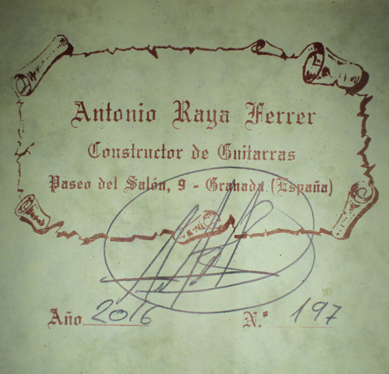 Antonio Raya Ferrer - 2016