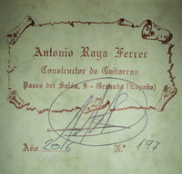 Antonio Raya Ferrer - 2016
