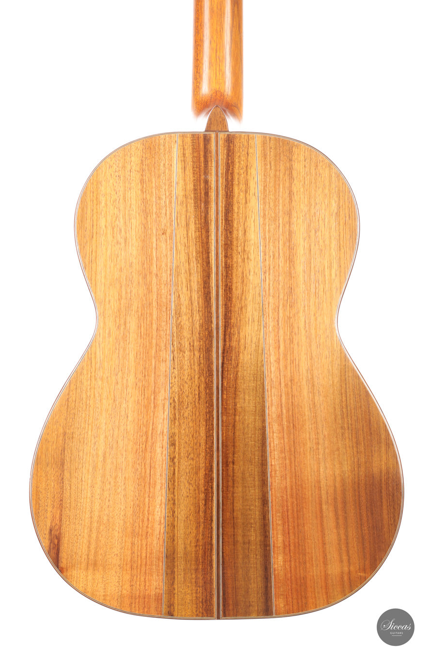 Ariel Ameijenda - 2018