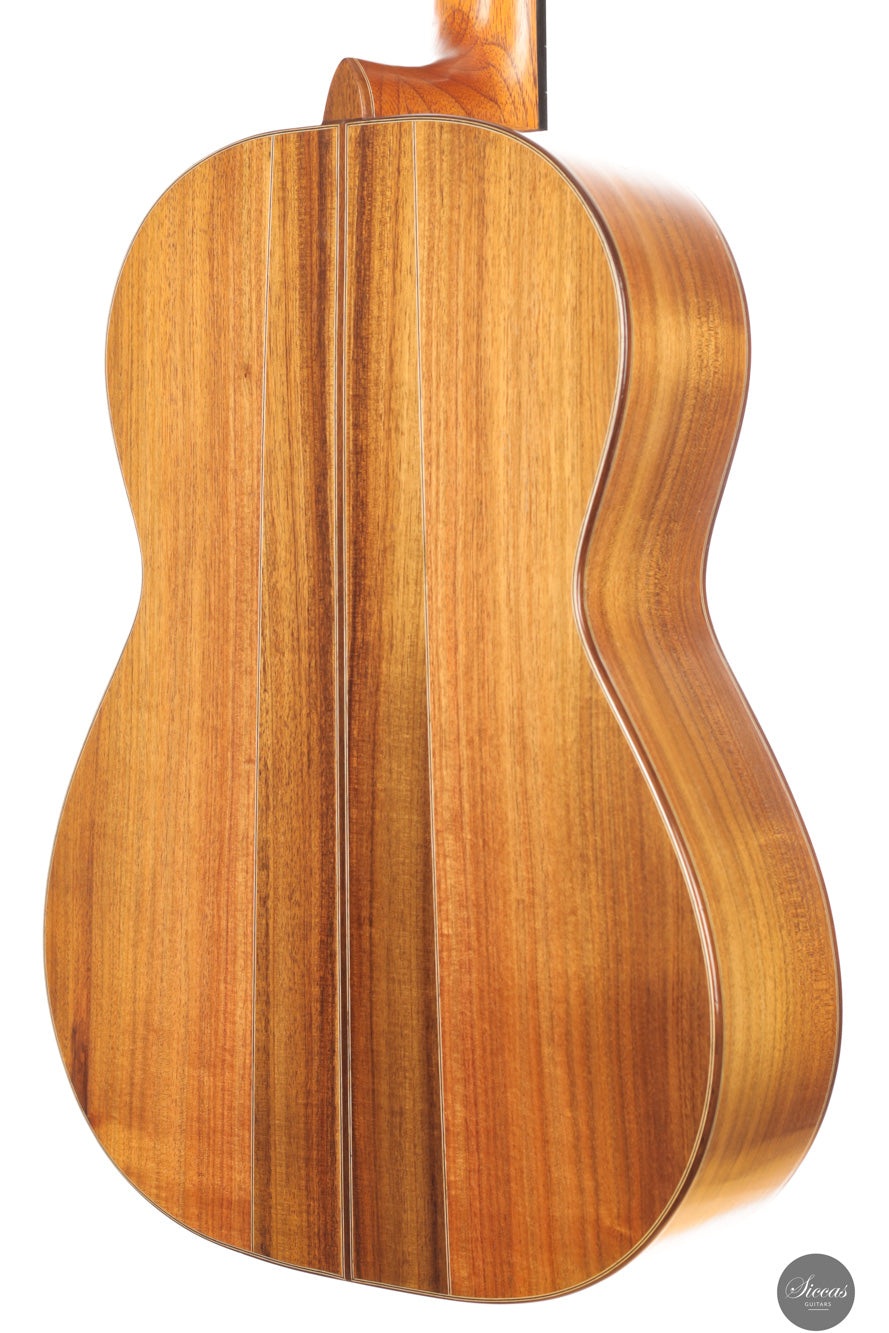 Ariel Ameijenda - 2018