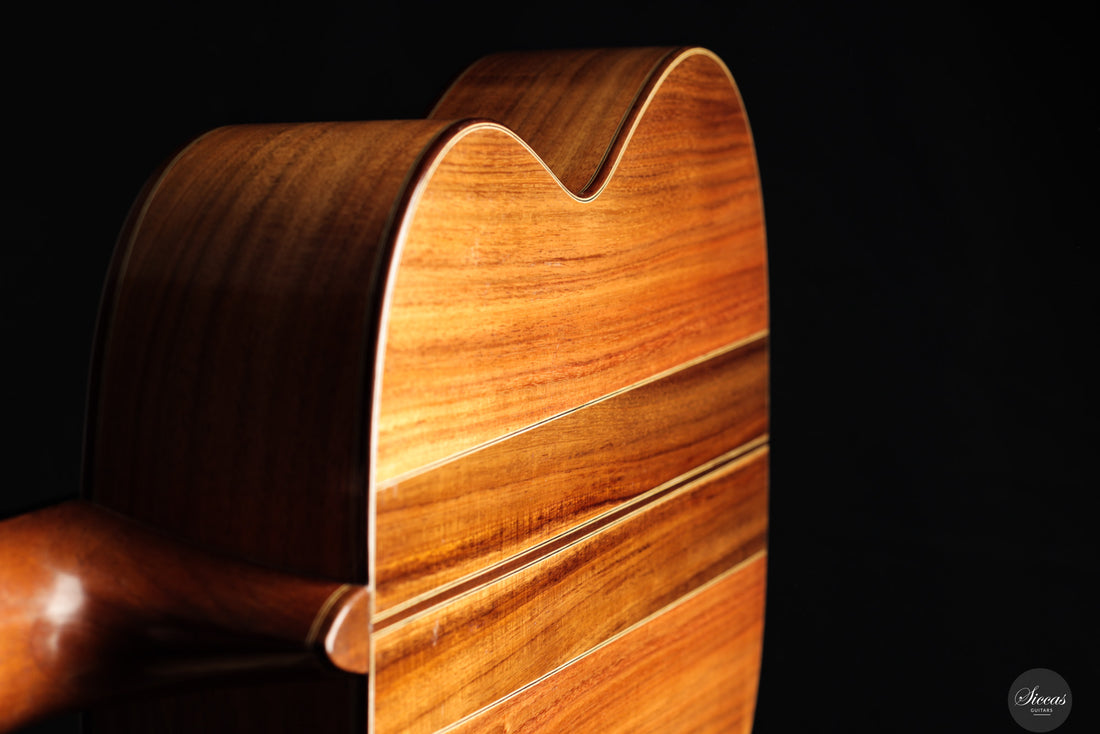 Ariel Ameijenda - 2018