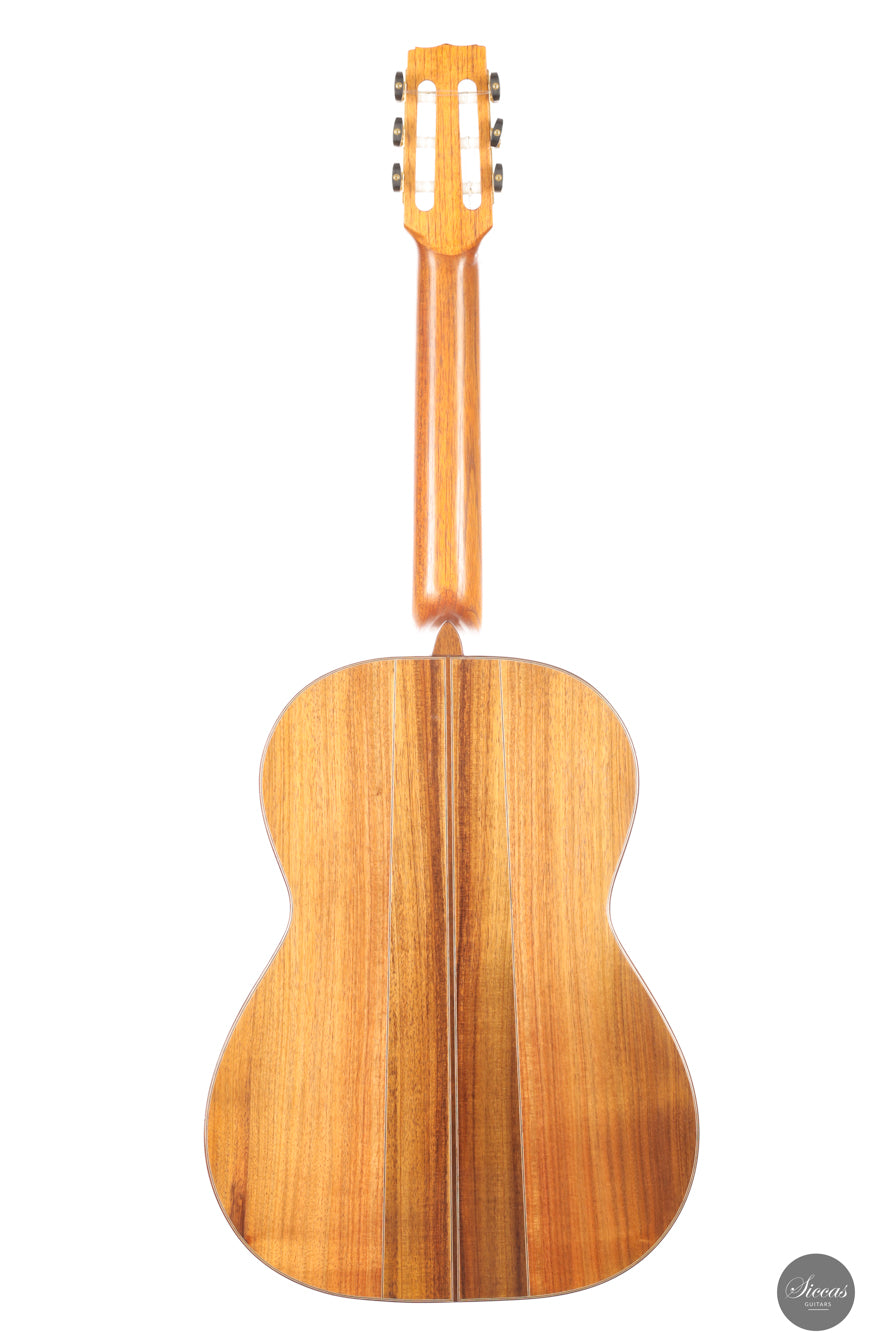 Ariel Ameijenda - 2018