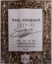 Ariel Ameijenda - 2022 63 cm