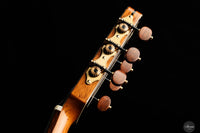 Armin Hanika - 1A - Doubletop - Lattice