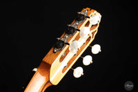 Armin Hanika – 1a Doubletop "Special Custom Cedar/Yew tree"
