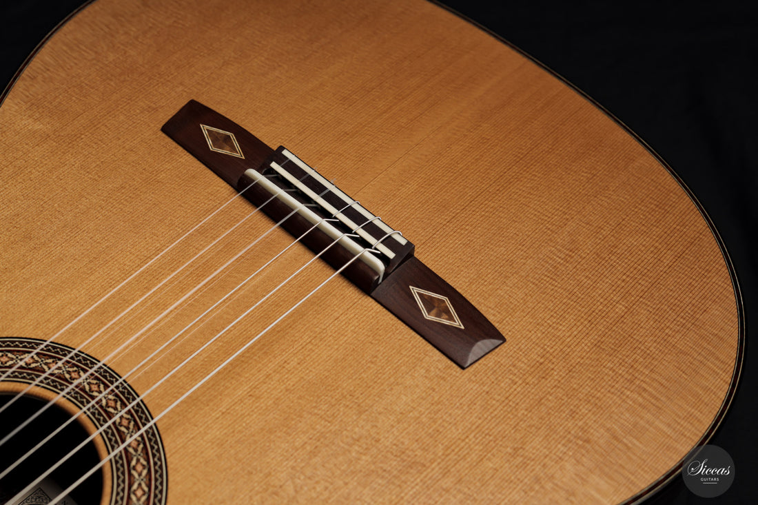 Armin Hanika – HE Doubletop Custom