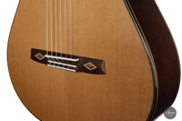 Armin Hanika – HE Doubletop Custom