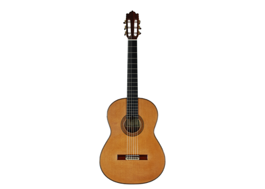 Paulino Bernabé – 2010