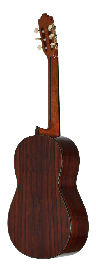 Paulino Bernabé – 2006 FL img-2