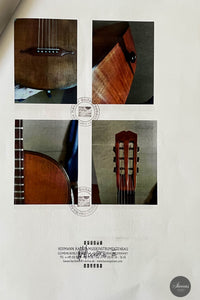 Braun & Hauser - ca. 1900-1906