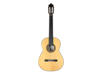 Camps Primera - Flamenca Blanca