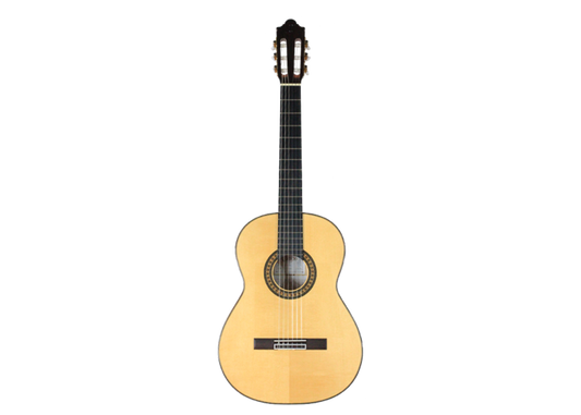 Camps Primera - Flamenca Blanca