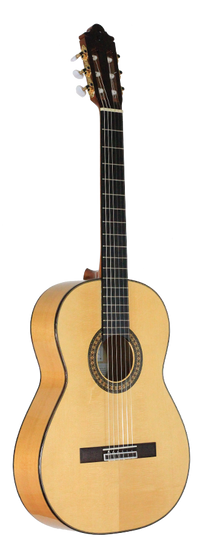 Camps Primera - Flamenca Blanca