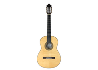 Camps Primera - Flamenca Negra