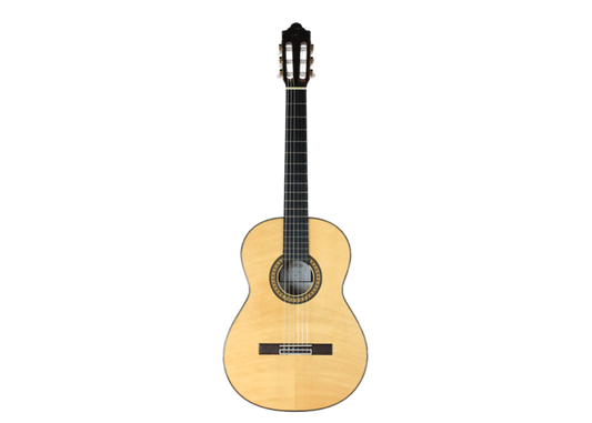 Camps Primera - Flamenca Negra