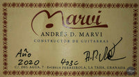 Andrés D. Marvi - 2020