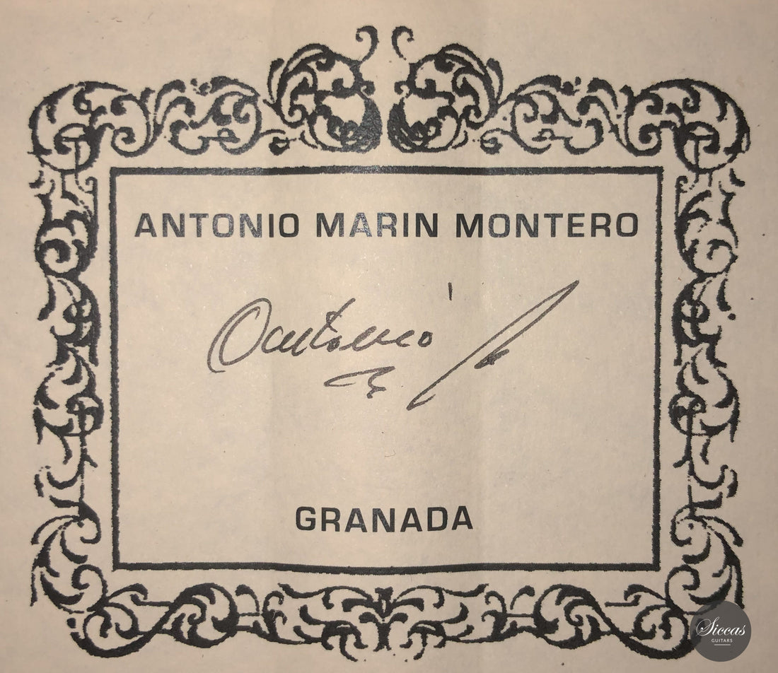 Antonio Marin Montero - 2015