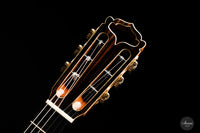 Armin Hanika - Fusion PC with Pickup