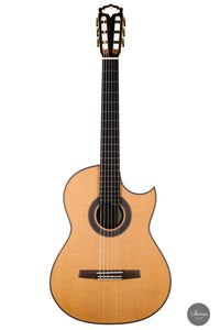 Armin Hanika - Fusion PC with Pickup