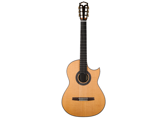 Armin Hanika - Fusion PC with Pickup