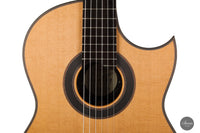 Armin Hanika - Fusion PC with Pickup