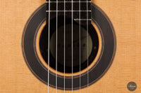 Armin Hanika - Fusion PC with Pickup