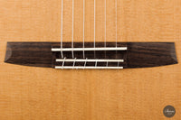 Armin Hanika - Fusion PC with Pickup