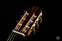 Dietmar Heubner - 2021 "Premium" 64cm