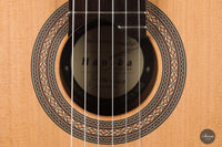 Armin Hanika - New Century Doubletop - New Model